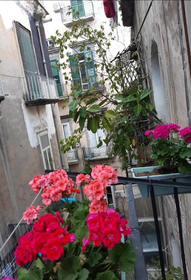 Gelso Home Napoli Dış mekan fotoğraf